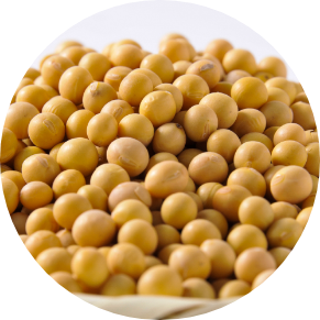SOYBEANS
