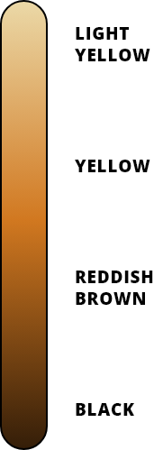 COLOR
